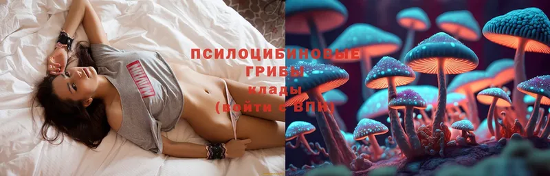 Псилоцибиновые грибы Magic Shrooms  Кореновск 